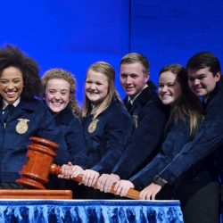 Interview questions for ffa officers