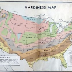 Zones usda hardiness represented thespruce ars