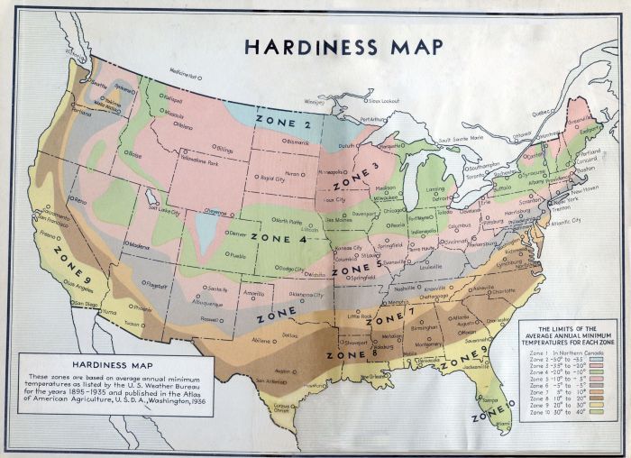 Zones usda hardiness represented thespruce ars