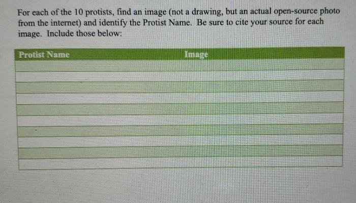 Virtual pond dip answer key