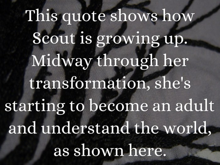 Quotes on scout in to kill a mockingbird