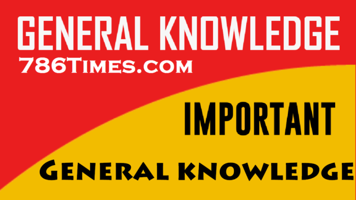 Cristcdl.com general knowledge test 6