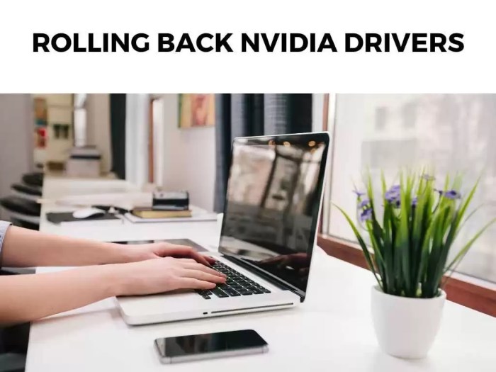 Lab 15-1 rolling back device drivers