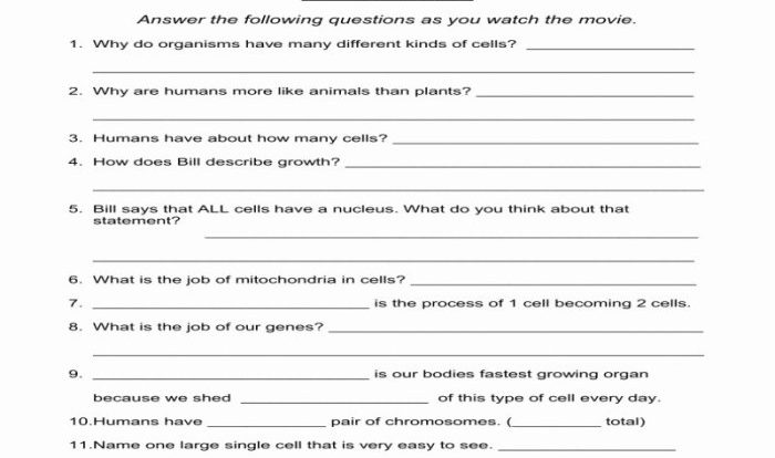 Bill nye plants answer key