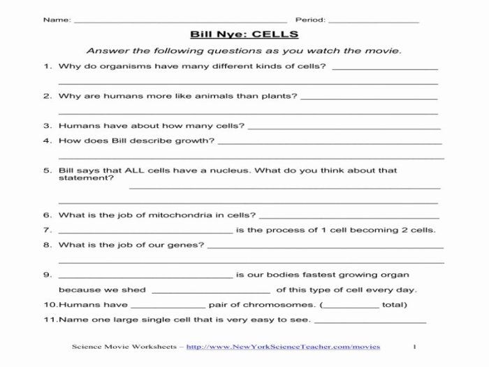 Bill nye plants answer key