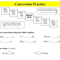 Metric mania conversion practice answer key